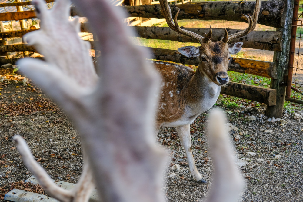 Deer valley_02
