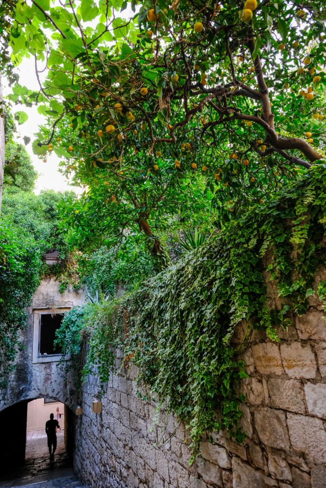 Korcula_03